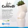 Fabricante de vasos autoirrigáveis