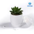 Vasos de planta autoirrigáveis