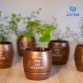 Vasos de planta autoirrigáveis