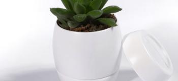 Vasos de planta autoirrigáveis